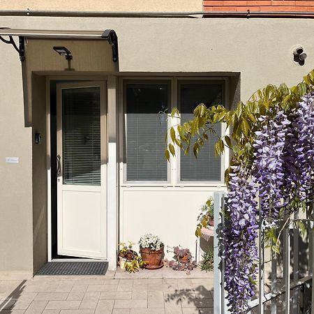Villa Il Glicine - Monolocale A Due Passi Dal Centro à Urbino Extérieur photo