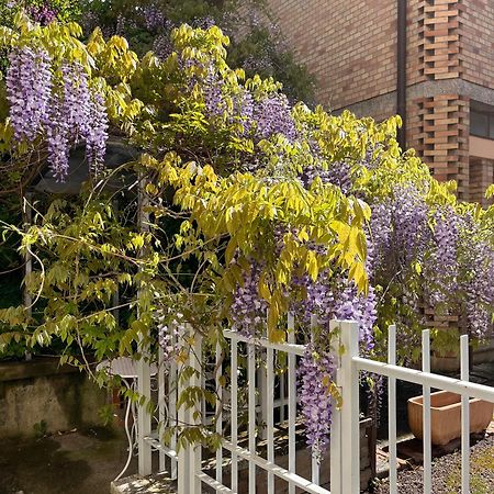 Villa Il Glicine - Monolocale A Due Passi Dal Centro à Urbino Extérieur photo